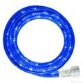 Winterland Winterland C-ROPE-LED-BL-1-10-18 10 mm. Spool Of Blue LED Ropelight; 18 ft. C-ROPE-LED-BL-1-10-18